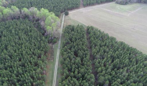 Photo #3 of 30075 Meherrin Road, Boykins, VA 116.0 acres