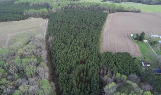 Photo #4 of 30075 Meherrin Road, Boykins, VA 116.0 acres