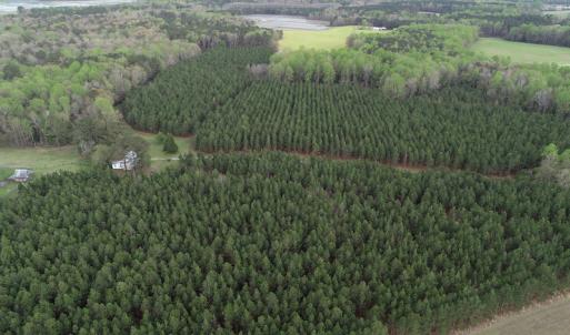 Photo #5 of 30075 Meherrin Road, Boykins, VA 116.0 acres