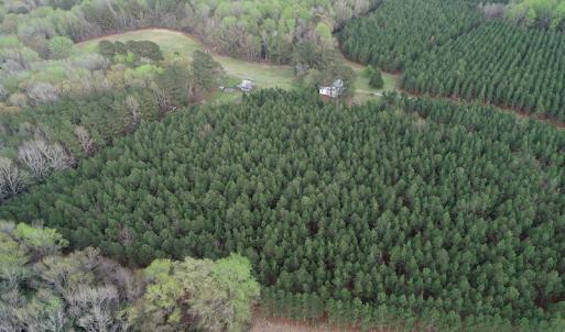 Photo #6 of 30075 Meherrin Road, Boykins, VA 116.0 acres