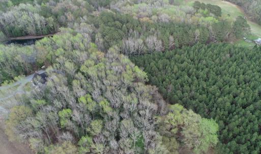 Photo #7 of 30075 Meherrin Road, Boykins, VA 116.0 acres