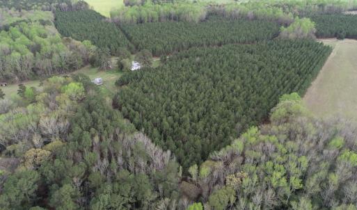 Photo #8 of 30075 Meherrin Road, Boykins, VA 116.0 acres