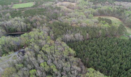 Photo #9 of 30075 Meherrin Road, Boykins, VA 116.0 acres