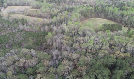Photo #11 of 30075 Meherrin Road, Boykins, VA 116.0 acres