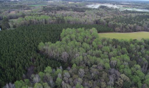 Photo #13 of 30075 Meherrin Road, Boykins, VA 116.0 acres