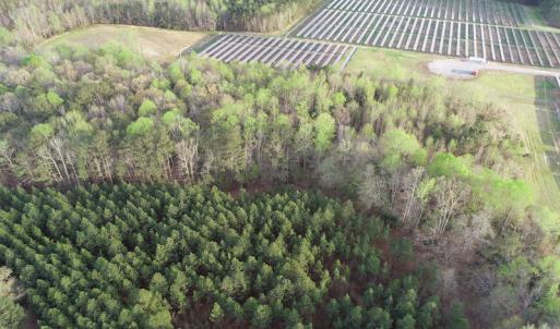 Photo #16 of 30075 Meherrin Road, Boykins, VA 116.0 acres