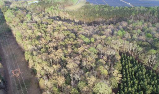 Photo #19 of 30075 Meherrin Road, Boykins, VA 116.0 acres