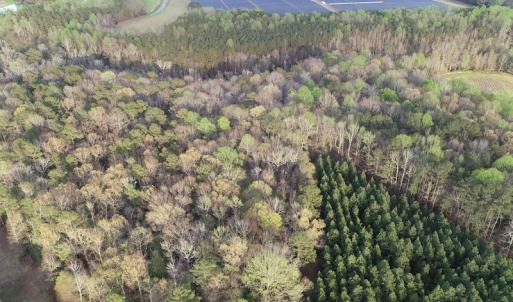 Photo #20 of 30075 Meherrin Road, Boykins, VA 116.0 acres