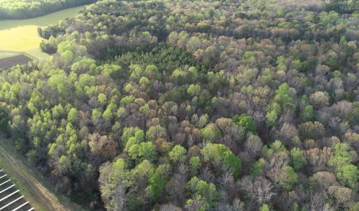 Photo #21 of 30075 Meherrin Road, Boykins, VA 116.0 acres