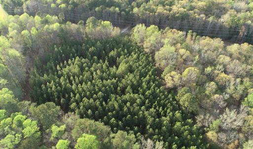 Photo #22 of 30075 Meherrin Road, Boykins, VA 116.0 acres