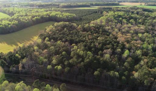 Photo #23 of 30075 Meherrin Road, Boykins, VA 116.0 acres