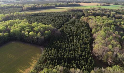 Photo #24 of 30075 Meherrin Road, Boykins, VA 116.0 acres
