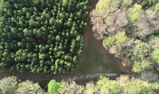 Photo #25 of 30075 Meherrin Road, Boykins, VA 116.0 acres
