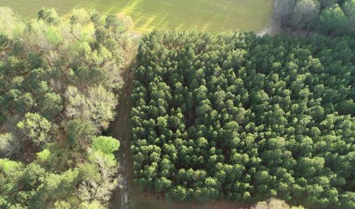 Photo #26 of 30075 Meherrin Road, Boykins, VA 116.0 acres