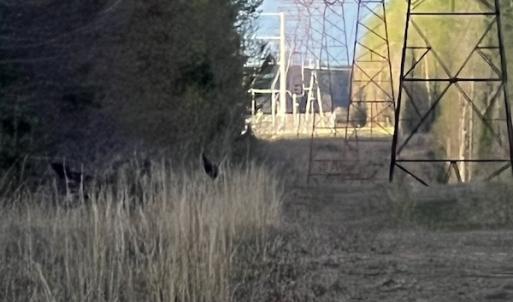 Photo #27 of 30075 Meherrin Road, Boykins, VA 116.0 acres