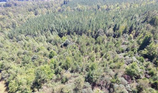 Photo #3 of SOLD property in Off Horseshoe Trail, Halifax, VA 48.0 acres