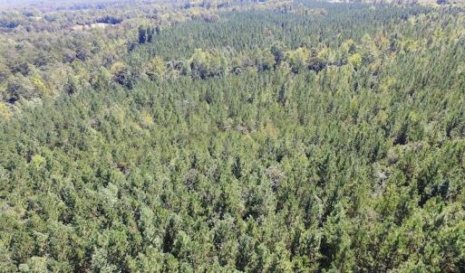 Photo #4 of SOLD property in Off Horseshoe Trail, Halifax, VA 48.0 acres