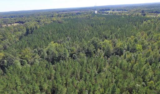 Photo #5 of SOLD property in Off Horseshoe Trail, Halifax, VA 48.0 acres