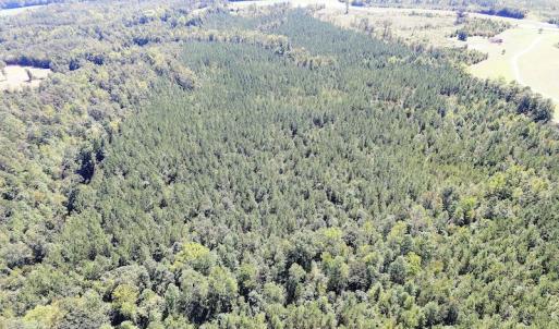 Photo #6 of SOLD property in Off Horseshoe Trail, Halifax, VA 48.0 acres