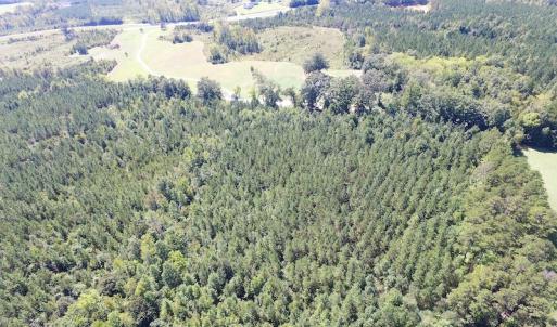 Photo #7 of SOLD property in Off Horseshoe Trail, Halifax, VA 48.0 acres
