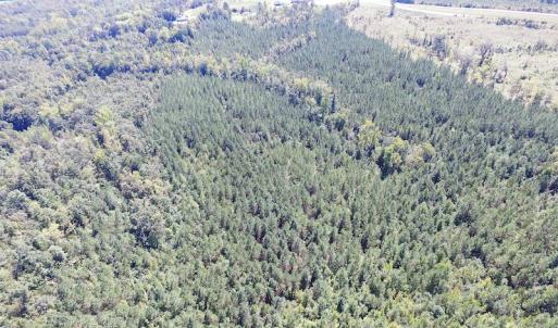 Photo #9 of SOLD property in Off Horseshoe Trail, Halifax, VA 48.0 acres