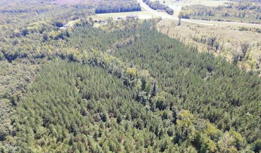 Photo #10 of SOLD property in Off Horseshoe Trail, Halifax, VA 48.0 acres