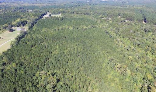Photo #11 of SOLD property in Off Horseshoe Trail, Halifax, VA 48.0 acres