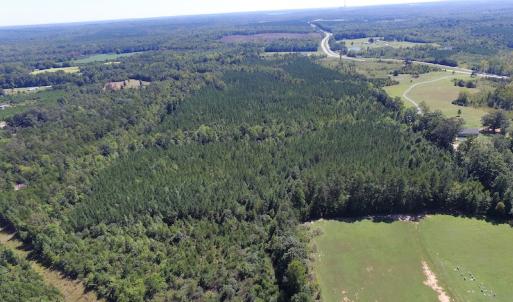 Photo #14 of SOLD property in Off Horseshoe Trail, Halifax, VA 48.0 acres