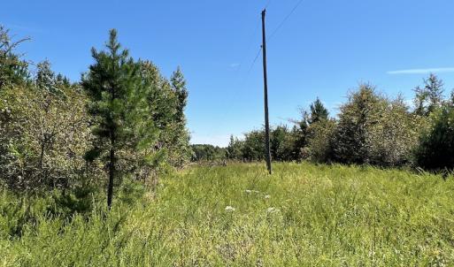 Photo #16 of SOLD property in Off Horseshoe Trail, Halifax, VA 48.0 acres