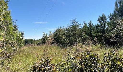 Photo #17 of SOLD property in Off Horseshoe Trail, Halifax, VA 48.0 acres