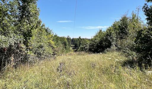 Photo #20 of SOLD property in Off Horseshoe Trail, Halifax, VA 48.0 acres