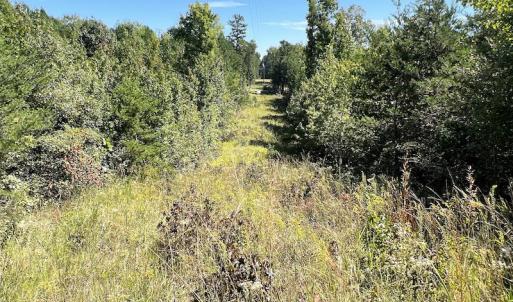 Photo #21 of SOLD property in Off Horseshoe Trail, Halifax, VA 48.0 acres