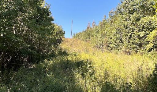 Photo #22 of SOLD property in Off Horseshoe Trail, Halifax, VA 48.0 acres
