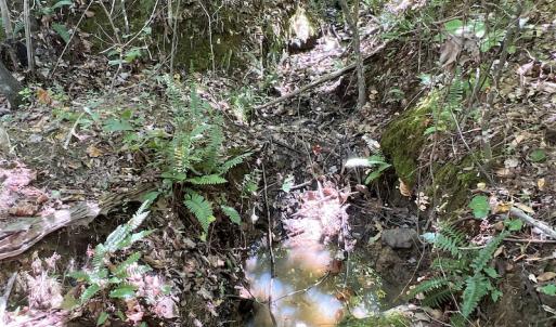 Photo #23 of SOLD property in Off Horseshoe Trail, Halifax, VA 48.0 acres