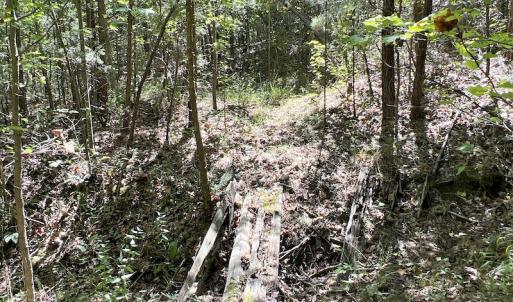 Photo #28 of SOLD property in Off Horseshoe Trail, Halifax, VA 48.0 acres