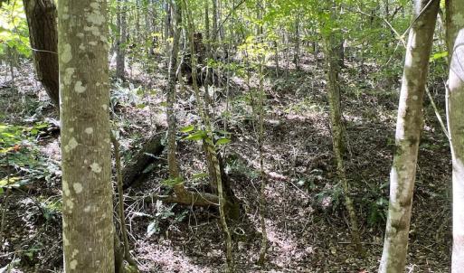 Photo #30 of SOLD property in Off Horseshoe Trail, Halifax, VA 48.0 acres