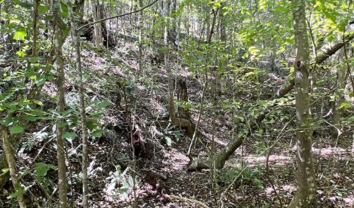 Photo #31 of SOLD property in Off Horseshoe Trail, Halifax, VA 48.0 acres
