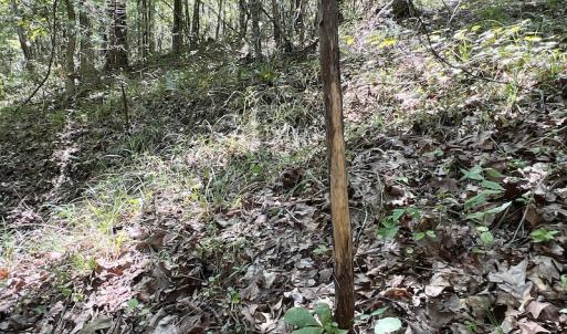 Photo #33 of SOLD property in Off Horseshoe Trail, Halifax, VA 48.0 acres