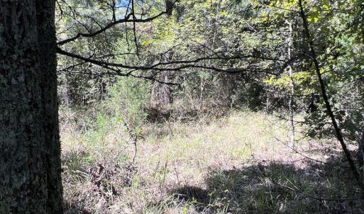 Photo #34 of SOLD property in Off Horseshoe Trail, Halifax, VA 48.0 acres