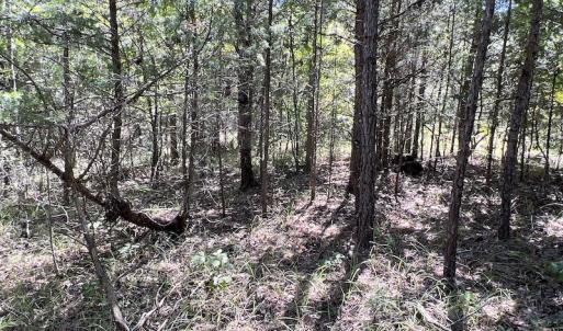 Photo #35 of SOLD property in Off Horseshoe Trail, Halifax, VA 48.0 acres