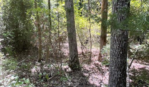 Photo #39 of SOLD property in Off Horseshoe Trail, Halifax, VA 48.0 acres