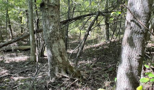 Photo #40 of SOLD property in Off Horseshoe Trail, Halifax, VA 48.0 acres