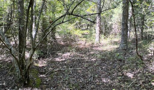 Photo #41 of SOLD property in Off Horseshoe Trail, Halifax, VA 48.0 acres