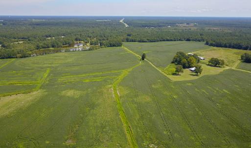 Photo #5 of SOLD property in 291 S Dobson Chapel Road, Kenansville, NC 290.0 acres