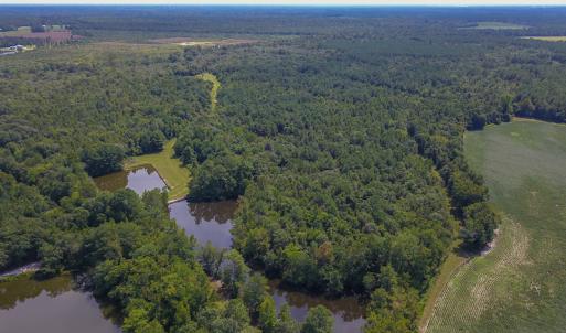 Photo #8 of SOLD property in 291 S Dobson Chapel Road, Kenansville, NC 290.0 acres