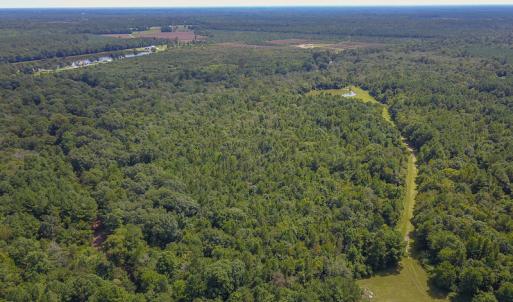 Photo #9 of SOLD property in 291 S Dobson Chapel Road, Kenansville, NC 290.0 acres