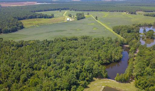 Photo #10 of SOLD property in 291 S Dobson Chapel Road, Kenansville, NC 290.0 acres