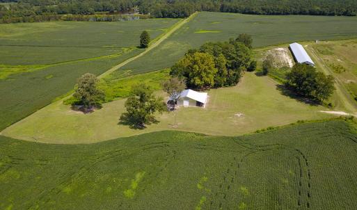 Photo #13 of SOLD property in 291 S Dobson Chapel Road, Kenansville, NC 290.0 acres