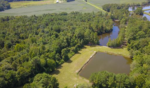 Photo #20 of SOLD property in 291 S Dobson Chapel Road, Kenansville, NC 290.0 acres