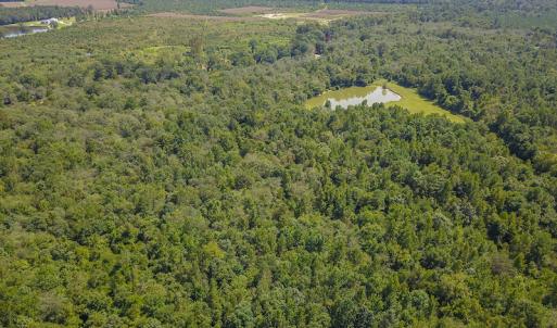 Photo #21 of SOLD property in 291 S Dobson Chapel Road, Kenansville, NC 290.0 acres